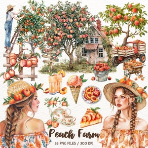 Clipart ferme de pêchers aquarelle, clipart de fruits, graphiques estivaux, illustrations de pêches, saisonnier, scrapbooking, téléchargement immédiat utilisation commerciale