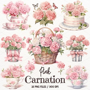 水彩ピンクのカーネーションのクリップアート、花のグラフィック PNG、カーネーションの花、ピンクの花、花柄、ジャンクジャーナル、デジタルダウンロード、商用