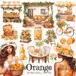 Watercolor Orange Clipart: Citrus Fruit Illustrations (Instant Download)