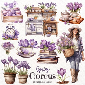 Crocus Watercolor Clipart, Spring Florals, Spring Flowers PNG, Flower Bouquet, Botanical Illustration, Floral PNG, Scrapbook, Commercial Use