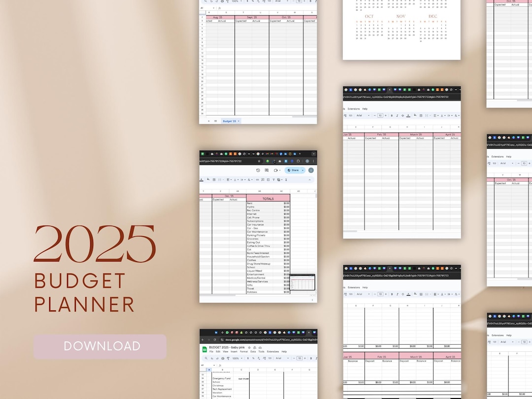 2025 Budget Planner Google Sheet Spreadsheet – Baby Pink Color