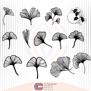 May include: A set of 11 black and white ginkgo leaf illustrations. The leaves are drawn in a detailed, intricate style. The illustrations are perfect for use in crafting, scrapbooking, or digital design.