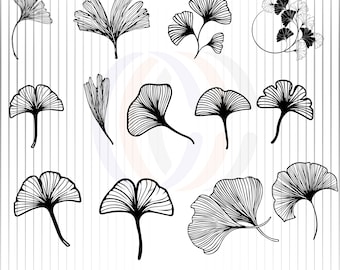 Gingko Leaf Outlines SVG,Gingko Leaves SVG,Digital Download,Gingko Leaf Clip Art,Leaves SVG,Gingko Leaf Png - Black and White Svg