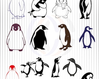 Penguin SVG, Penguin Clipart, Penguin Cut Files, Penguin Silhouet, Cute Penguin Svg, Penguin Vector, Cricut, Instant Download