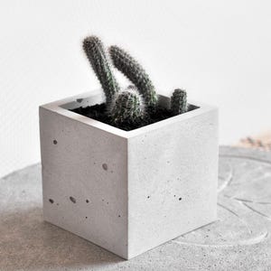 Vierkante betonnen plantenbakken | Vet- en cactuspot | Vetplantenbak van grijs cement | Minimalistisch decor | Moderne industriële betonpot