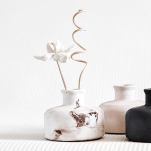 Może przedstawiać: Martwa natura z trzema ceramicznymi wazonami. Przedni wazon jest biały z brązowymi akcentami, z białym kwiatem i zakrzywioną łodygą. Pozostałe wazony są jasnoróżowe i czarne, tworząc neutralną paletę.