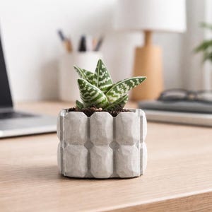 Maceta geométrica pequeña de hormigón para cactus: Maceta rústica moderna para suculentas