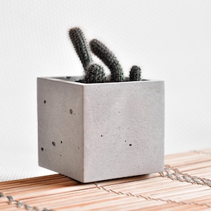 Vaso quadrado de concreto: vaso moderno e minimalista para suculentas e cactos