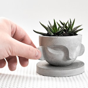 Puede incluir: Un macetero de hormigón gris con forma de cara con una pequeña planta suculenta creciendo en su interior. El macetero tiene una base redonda y dos pequeñas asas a los lados.