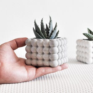 Puede incluir: Dos macetas cuadradas con diseño de burbujas, una gris y otra blanca, cada una con una planta suculenta. La maceta gris se sostiene en una mano. Las plantas tienen hojas verdes y verde azulado.