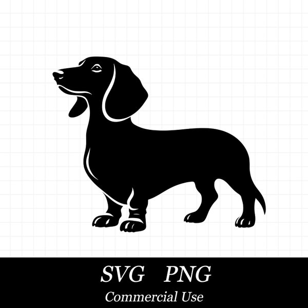 Dachshund Dog SVG PNG, Dog Svg, Weiner Dog Svg,  SVG Files for Cricut, Commercial Use, Instant Digital Download,