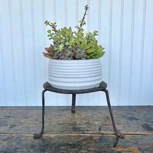 May include: A white, ribbed ceramic planter filled with various succulents in shades of green and burgundy. The planter sits on a dark, wrought-iron plant stand with three legs. The stand is on a wooden surface.