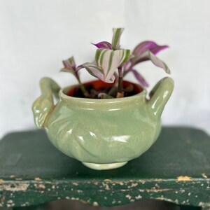 May include: A small green ceramic pot with two handles, featuring a leafy plant with purple and white striped leaves.