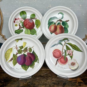 ポートメリオン　ポモナシリーズ　サービングプラッター Amazon.com | Portmeirion Pomona Collection 6.5