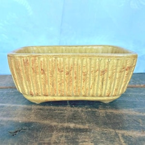 May include: A yellow ceramic planter with a ribbed texture and a subtle orange glaze.