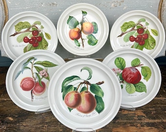 Portmeirion Pomona Dinner Plate Botanical Fruit - Etsy