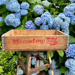 May include: A vintage wooden crate with the words "Me and my RC" in red lettering. The crate is weathered and sits on a rusty metal stool, with a backdrop of blue hydrangea flowers.
