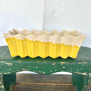 May include: A yellow ceramic planter with a wavy, scalloped edge. The planter has a white glaze with a crackled finish.