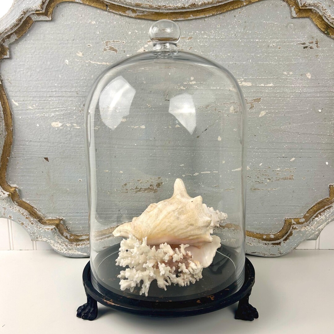 Large Antique Hand Blown Glass Cloche With Metal Claw Foot Base - Etsy