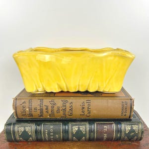 May include: A yellow ceramic planter with a wavy, ruffled edge. The planter is sitting on top of two vintage books.