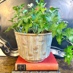 Large Vintage McCoy Pottery Faux Bamboo Jardiniere Planter in Avocado Green Drip Glaze