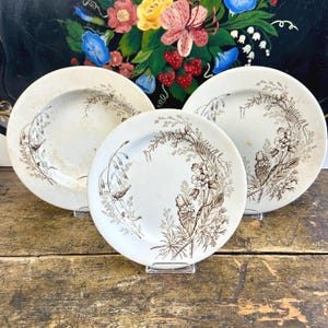 Set of Three Antique English Ashworth Brothers Brown Victoria Aesthetic Movement Floral Transferware Plates and Soup Bowl c1880 with Bumbleb