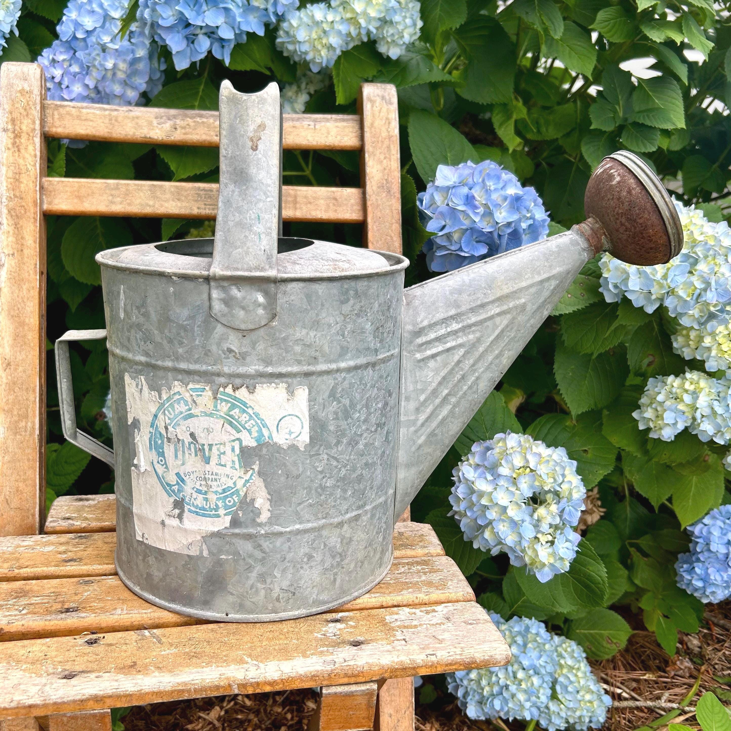 Vintage Galvanized Zinc Watering Can: Copper Sprinkler With