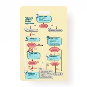 Peut inclure: Un badge rectangulaire crème avec un algorithme d'arrêt cardiaque pédiatrique. Le schéma comprend les étapes de la RCP, de la défibrillation et des médicaments, avec du texte et des flèches indiquant le flux d'actions. Le badge a un trou en haut.