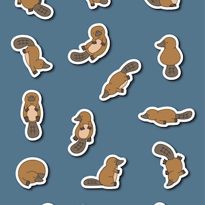 Platypus illustration PNG, SVG files