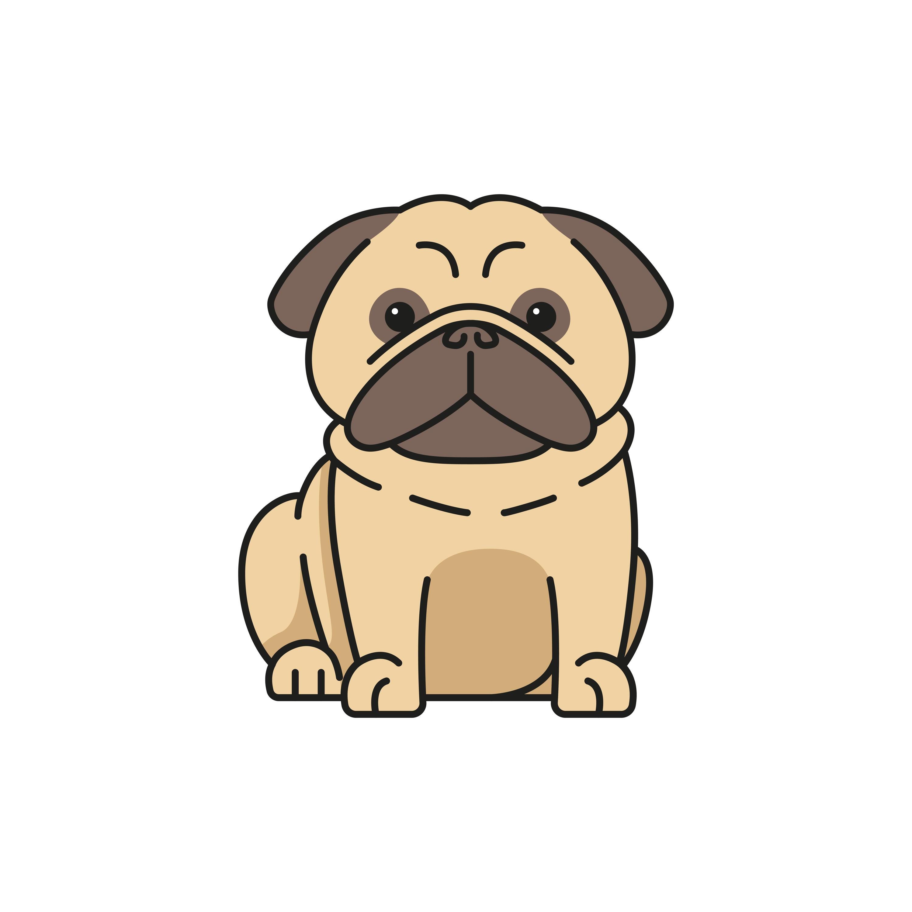 Pug Spring Graphic Pug Dog Illustration PNG and SVG - Etsy