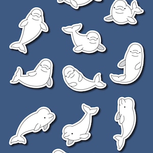 ベルーガのイラスト PNG、SVG ファイル