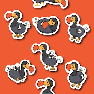 Dodo bird illustration PNG, SVG