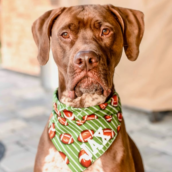 Football Pet Bandana-Over the Collar