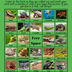 Könnte beinhalten: Eine grüne Bingokarte mit Bildern verschiedener Reptilien. Die Karte trägt den Titel "Reptile Bingo" und enthält Anweisungen, den Hinweisen zuzuhören und die Karte mit einem Marker oder einem Chip zu markieren. Das freie Feld befindet sich in der Mitte der Karte.