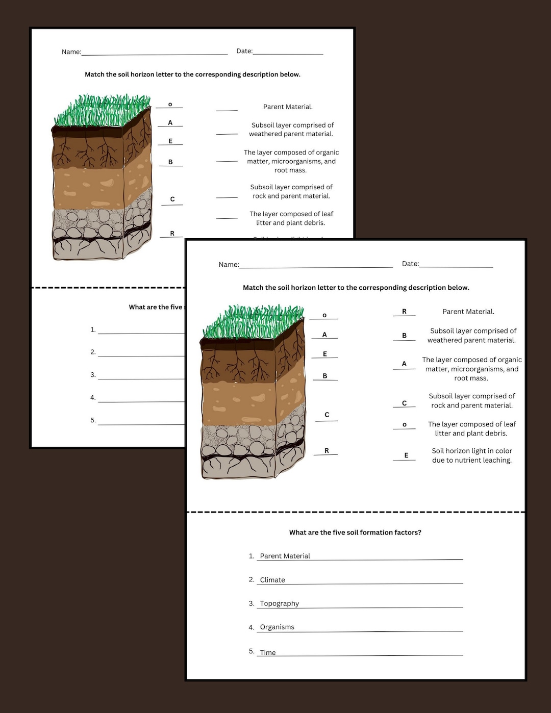 Introduction to Soils Worksheets Etsy