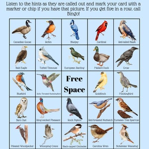 Backyard Bird Bingo (35 Unique Cards)