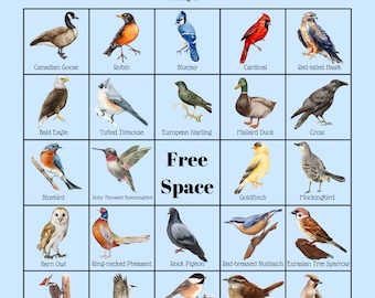 Backyard Bird Bingo (35 Unique Cards)