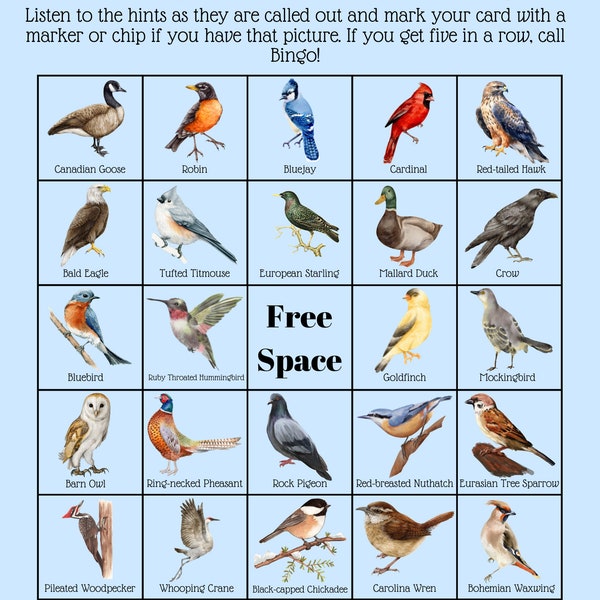 Backyard Bird Bingo (35 Unique Cards)