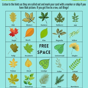 Bingo de árboles (35 cartas)