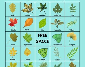 Tree Bingo (35 Cards)