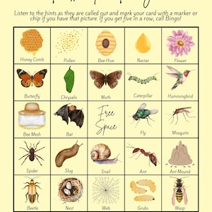 Bingo de polinizadores: 35 tarjetas únicas, actividad de verano