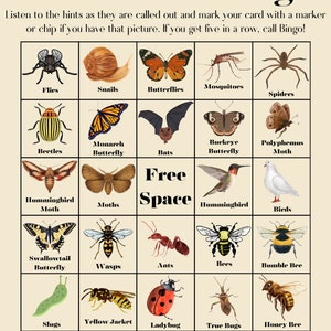 Bingo degli impollinatori (35 carte)