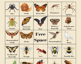 Pollinator Bingo (35 Cards)