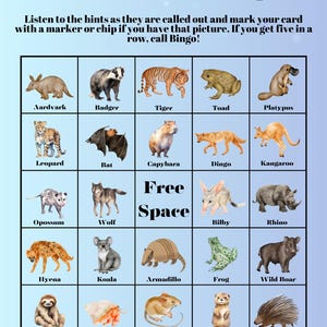 Nachtelijke bingo: 35 unieke kaarten