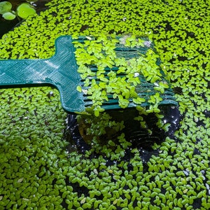AquaHarvest EcoPicker - Floating Plant Picker tool - Duckeweed Removal Comb | Free Australia wide Delivery for Order over 35 AUD