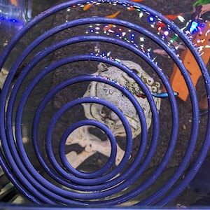 Puede incluir: Primer plano de una bobina de resorte en espiral azul sumergida en agua. La bobina está rodeada de un recipiente de vidrio transparente con un objeto de cerámica blanca y algunos peces pequeños.