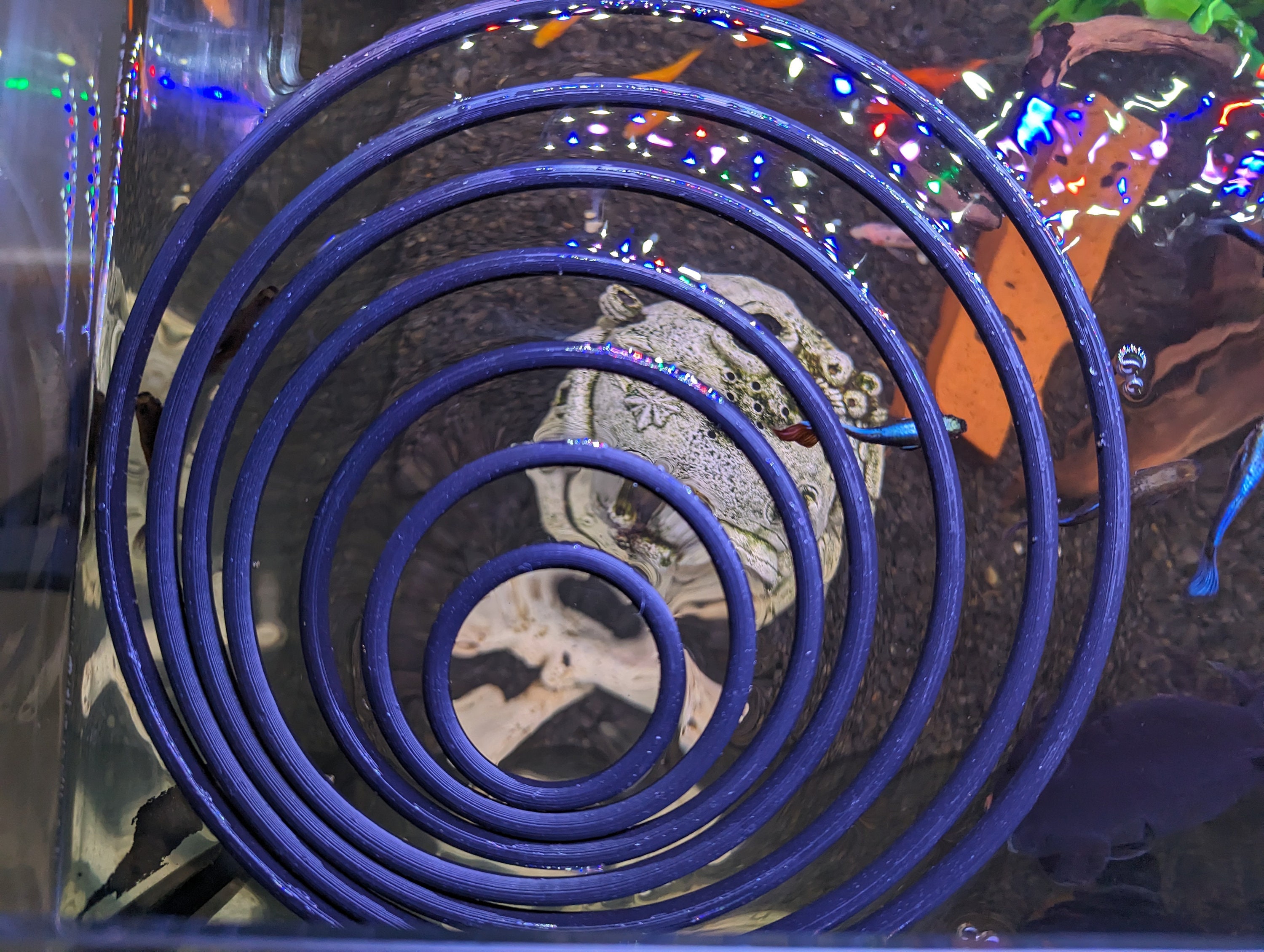 Aquarium Floating Plant Rings Aquascaping Fish Feeding Rings | Free ...