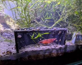 Shrimp Cave - Shrimp Hide - Shrimp Shelter - Shrimp Breeding Tunnel | Free Australia wide Delivery for Order over 35 AUD