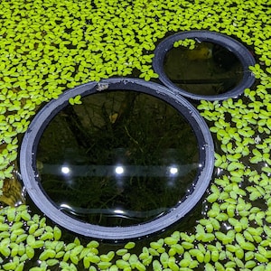 Plant Rings Fish Feeding Rings | Free Australia wide Delivery for Order over 35 AUD