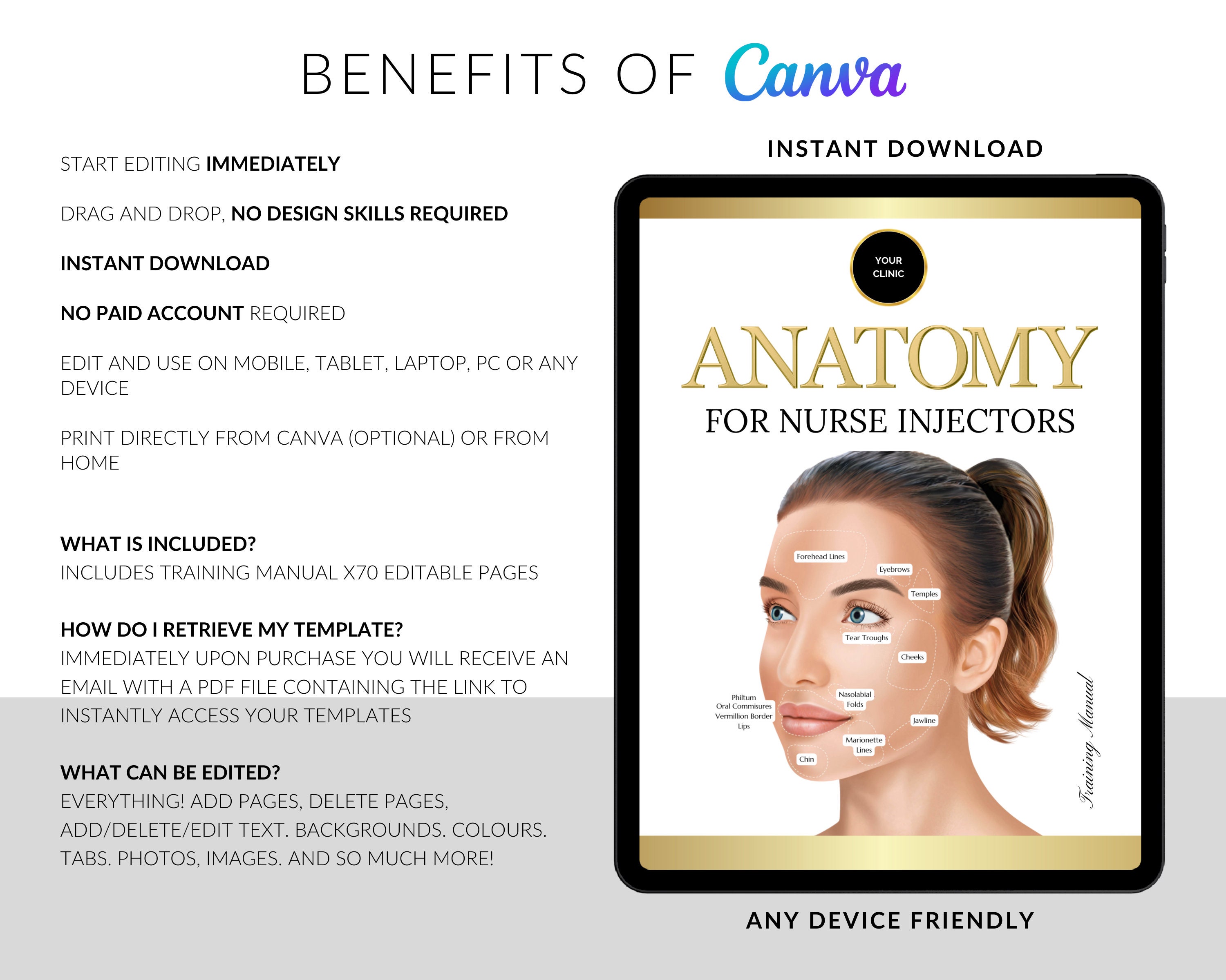 Facial Anatomy for Aesthetic Injectors, Aesthetics Facial Anatomy